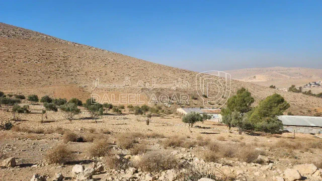 أرض في أرض زراعية - 60,000 دأ - صورة 1