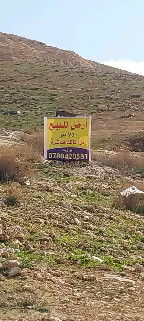 أرض في الزرقاء السخنة حي الصالحية - 29,000 دأ - صورة 1
