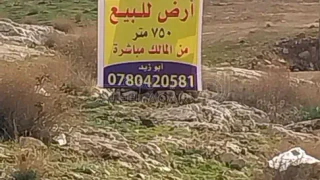 أرض - الزرقاء السخنة حي الصالحية - 29000 دأ