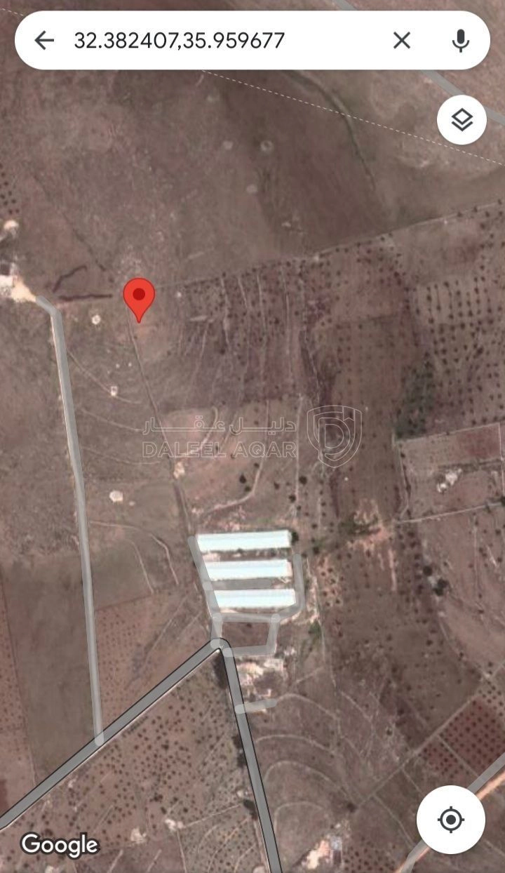 أرض في جرش المشيرفة - 68,000 دأ - صورة 4