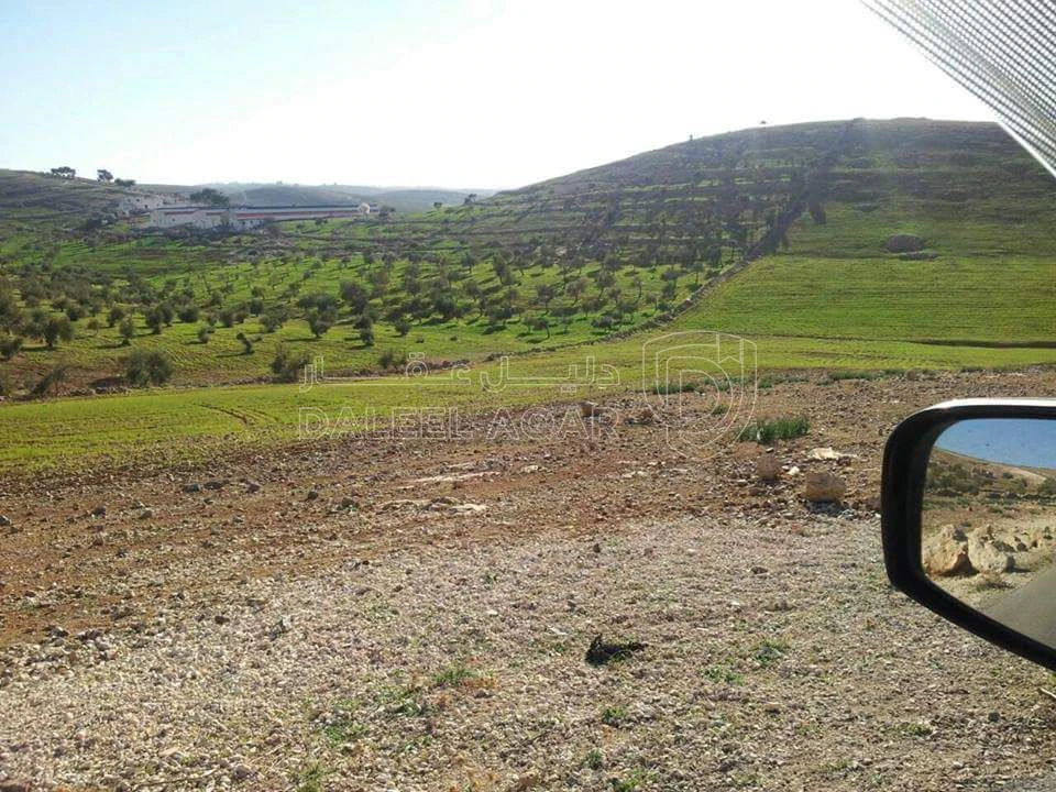 أرض في جرش المشيرفة - 68,000 دأ - صورة 3
