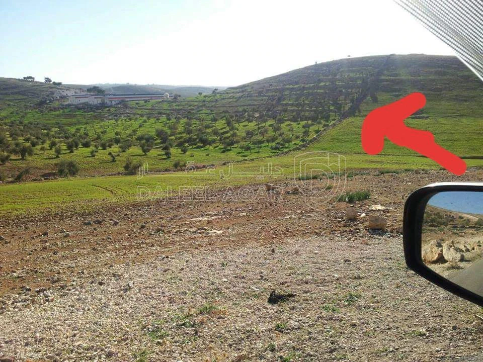 أرض في جرش المشيرفة - 68,000 دأ - صورة 2