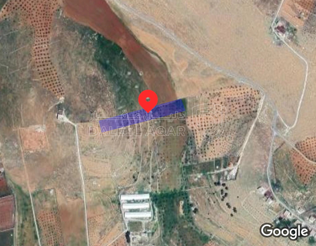 أرض في جرش المشيرفة - 68,000 دأ - صورة 6