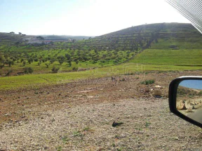 أرض في جرش المشيرفة - 68,000 دأ - صورة NaN