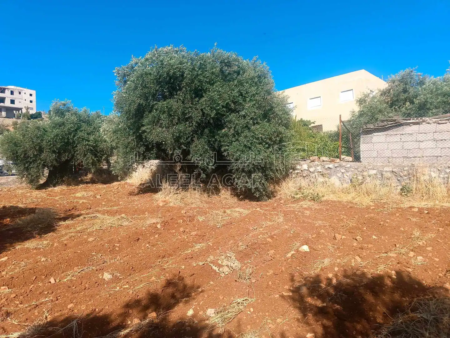 أرض في السلط بطنا قرب شارع الستين - 50,000 دأ - صورة 3