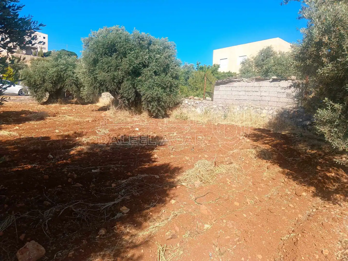 أرض في السلط بطنا قرب شارع الستين - 50,000 دأ - صورة 6