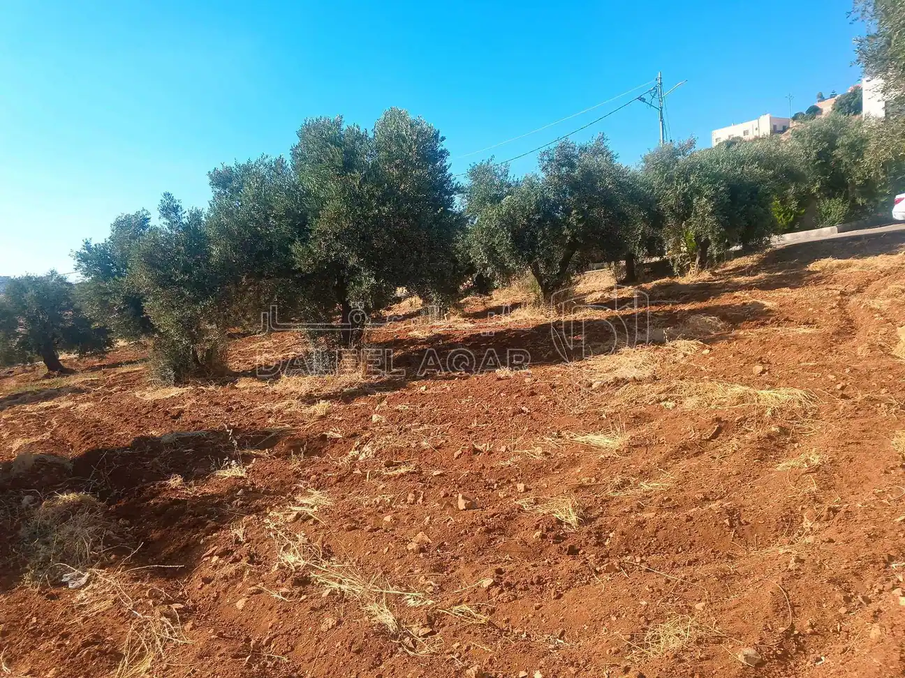 أرض في السلط بطنا قرب شارع الستين - 50,000 دأ - صورة 5