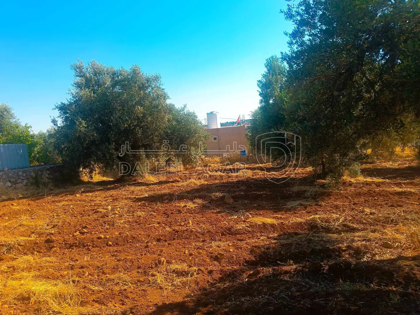 أرض في السلط بطنا قرب شارع الستين - 50,000 دأ - صورة 2