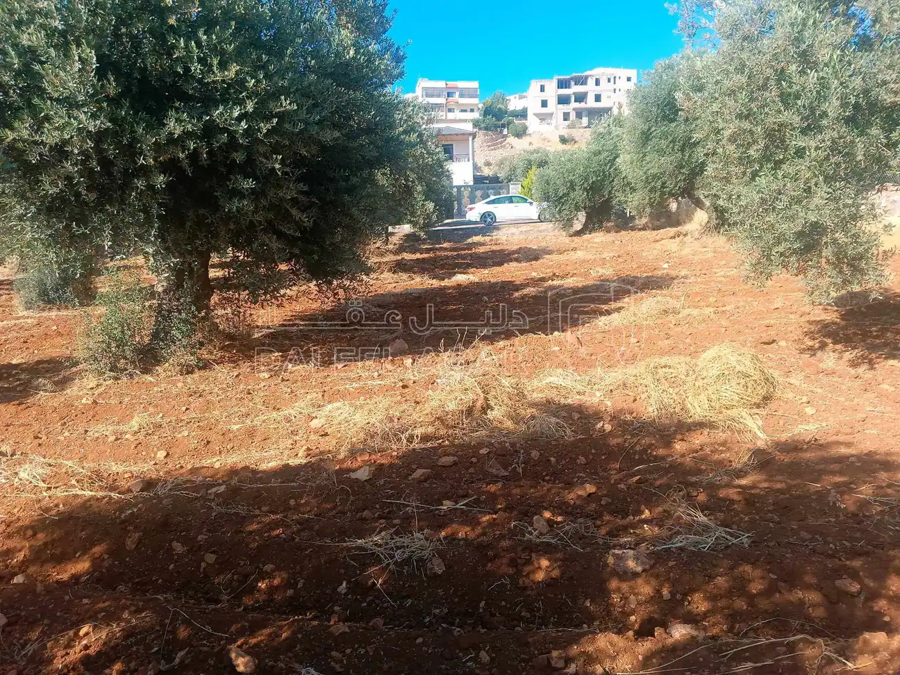 أرض في السلط بطنا قرب شارع الستين - 50,000 دأ - صورة 10