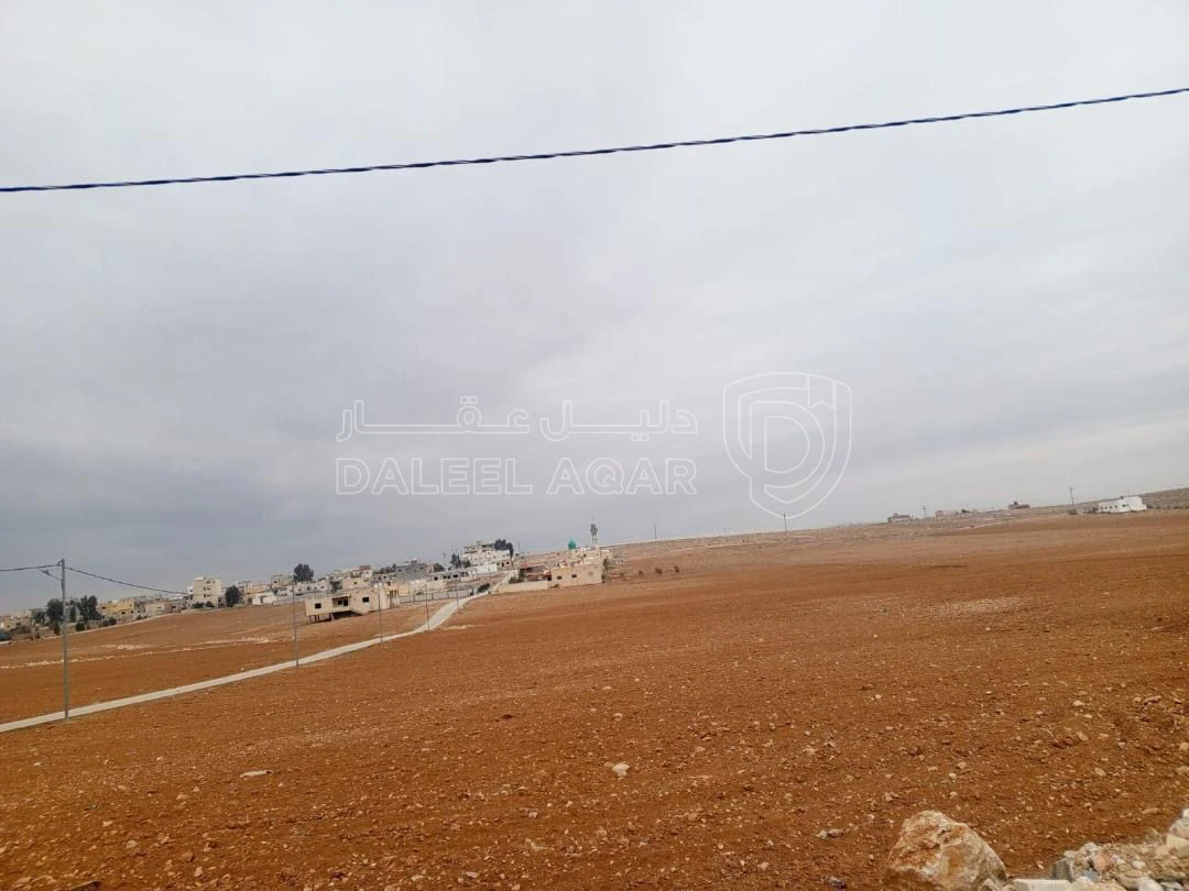 أرض في ارض للبيع في ايدون سعر الدلم 25000الف  - 183,500 دأ - صورة 10