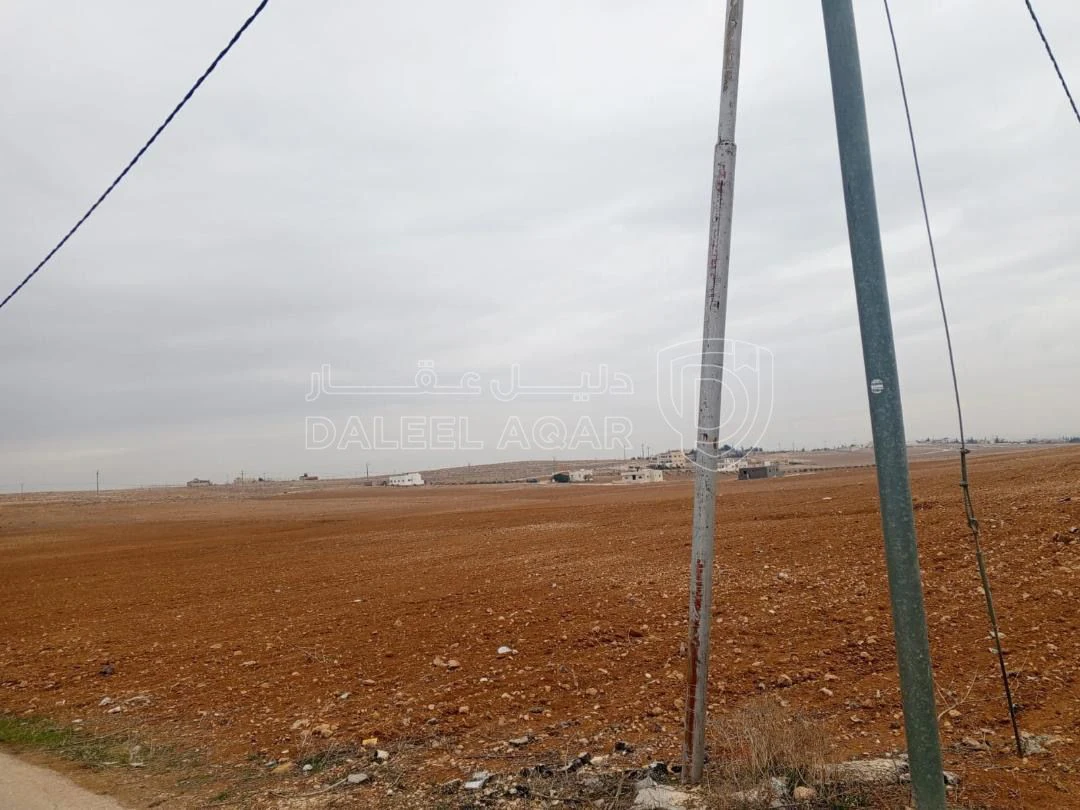 أرض في ارض للبيع في ايدون سعر الدلم 25000الف  - 183,500 دأ - صورة 9