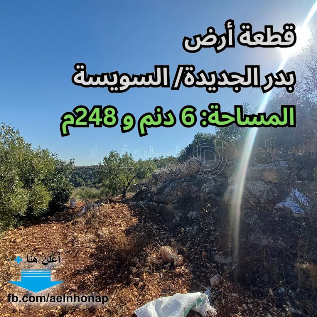 أرض في بدر الجديدة/ السويسة - تبعد 380م عن ديوان الفلاح - 531,080 دأ - صورة 1