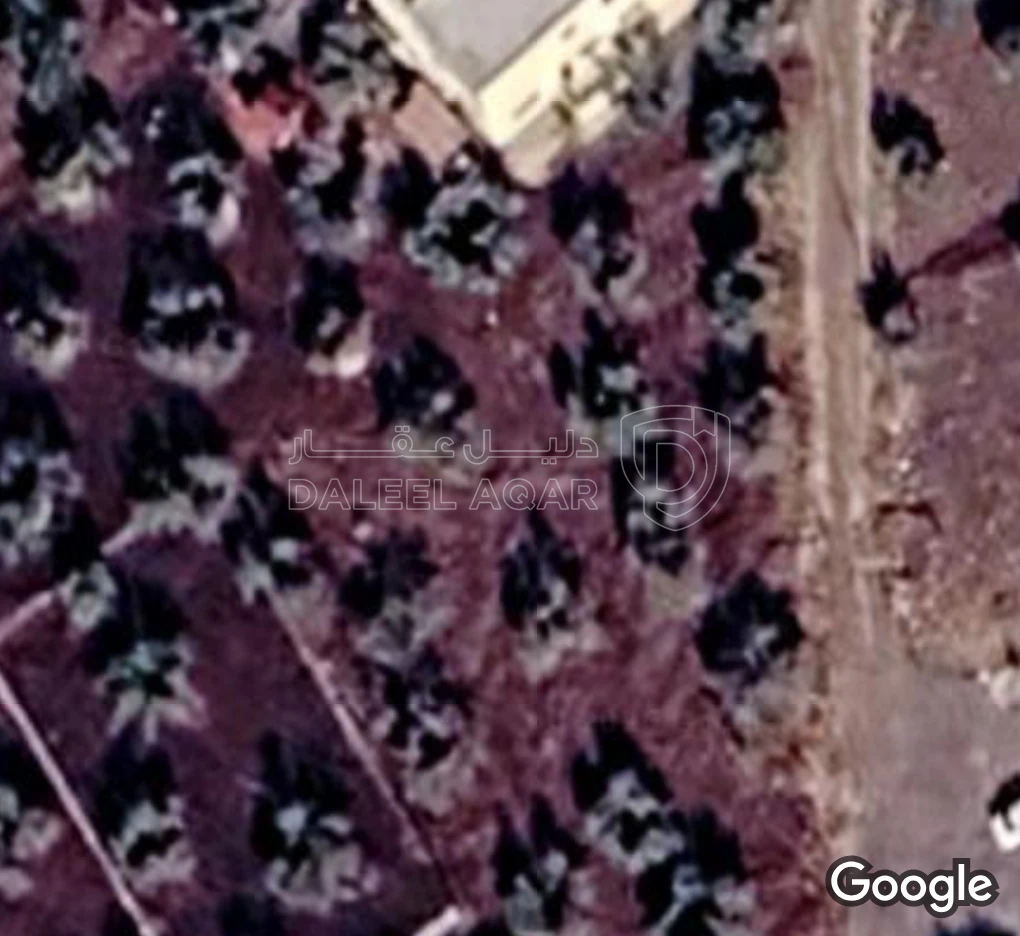 أرض في يبلامنطقة حوم مخدومة ماء كهرباء شارع٣متر - 12,000 دأ - صورة 1