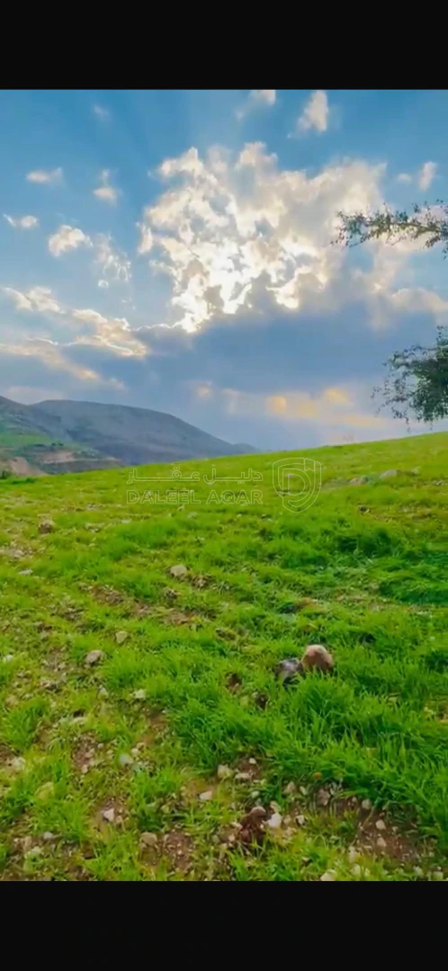 أرض في السلط ماحص حوض شعيب بالقرب من مقام النبي شعيب عليه - 90,000 دأ - صورة 1