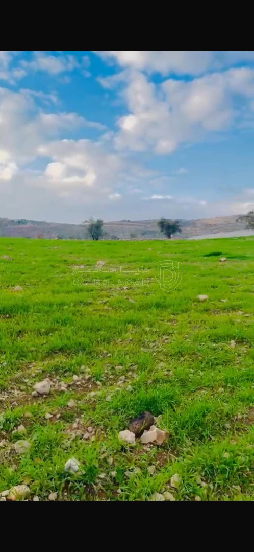 أرض في السلط ماحص حوض شعيب بالقرب من مقام النبي شعيب عليه - 90,000 دأ - صورة 1