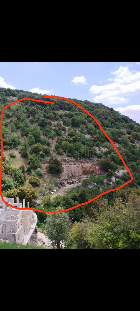 أرض في عجلون – على شارع عجلون-إربد الرئيسي - 77,000 دأ - صورة 1