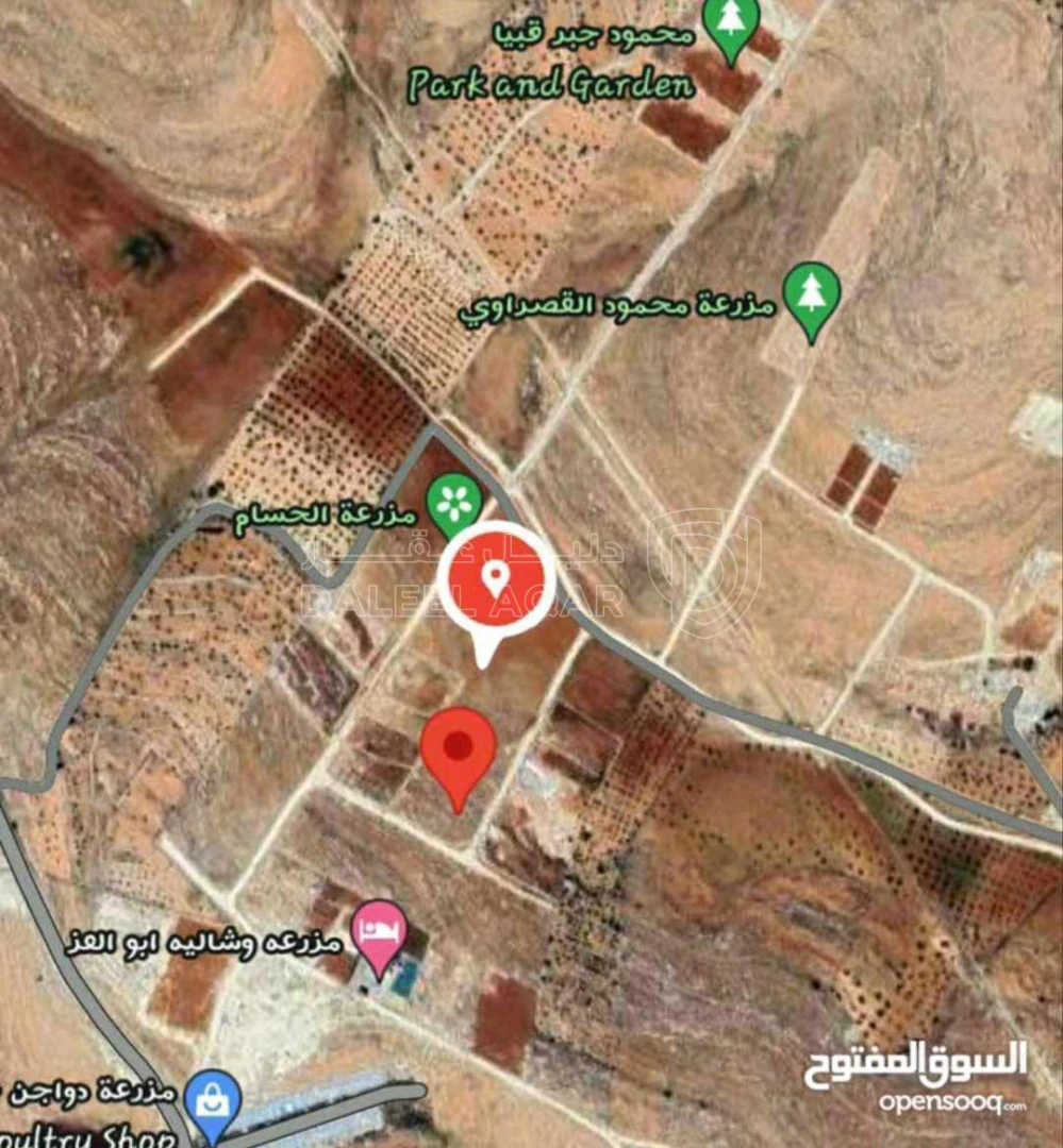 أرض في عين والمعمرية قرب مزرعة الحسام وشاليه ابوالعز - 30,000 دأ - صورة 1
