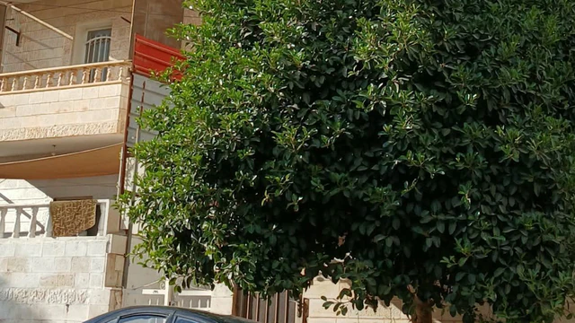 شقة في عمان حي نايفه من قرب مستشفى الامير حمزه - 38,000 دأ - صورة NaN