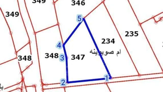 أرض في المفرق / بلعما ام صويوينه  - 23,000 دأ - صورة NaN