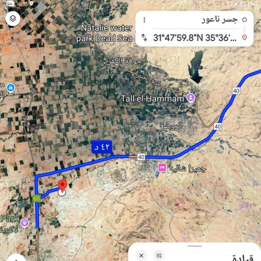 أرض في ارض للبيع الغور رامة مميزه على شارعين  - 60,000 دأ - صورة 1