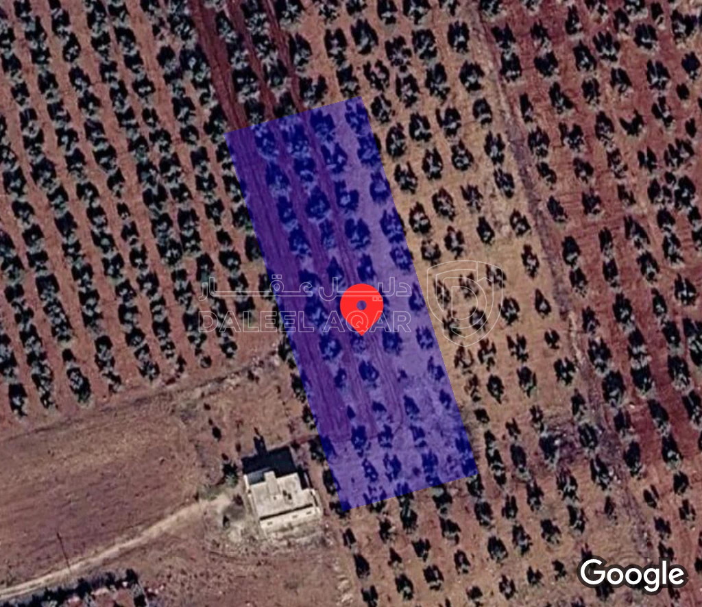 أرض في اربد- بني كنانه_كفؤسوم - 83,000 دأ - صورة 1