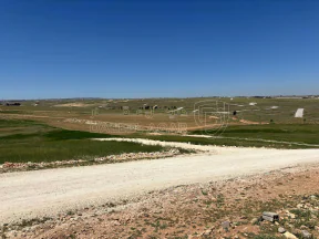 أرض في الصلاحية طريق المطار - 65,000 دأ - صورة NaN