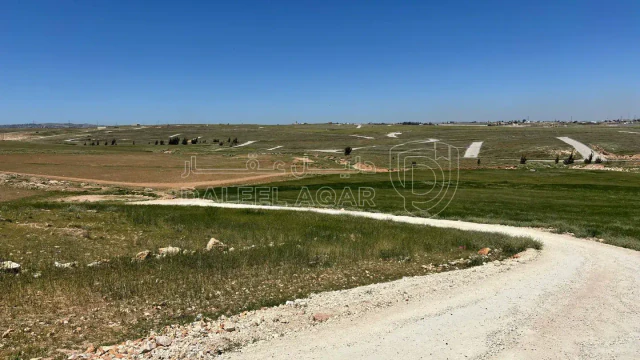أرض في الصلاحية طريق المطار - 65,000 دأ - صورة 1