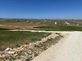 أرض في الصلاحية طريق المطار - 65,000 دأ - صورة NaN