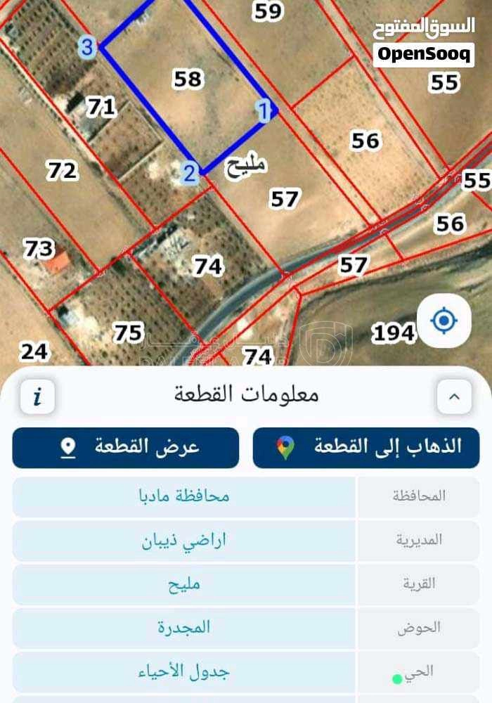 أرض في مادبا، مليح بالقرب من مسجد معاذ بن جبل رضي الله عن - 25,000 دأ - صورة 2