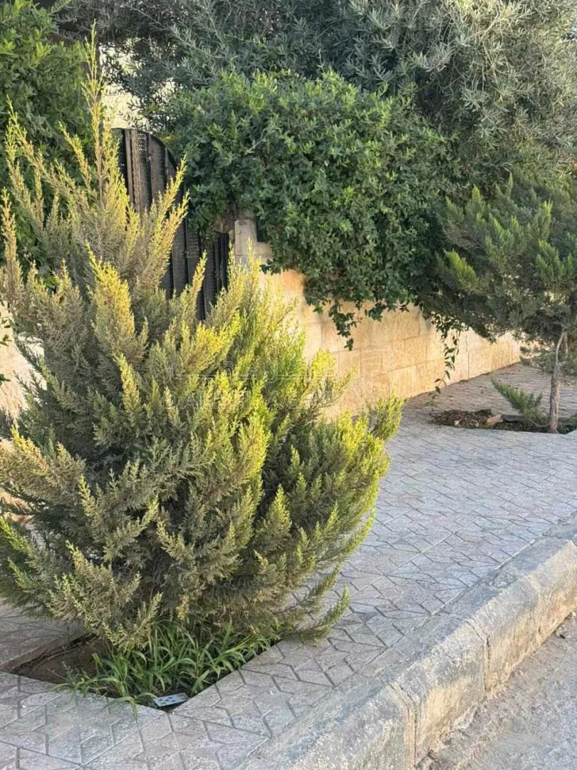 فيلا/منزل في المستندة قرب دوار المستنده الصغير - 95,000 دأ - صورة 1