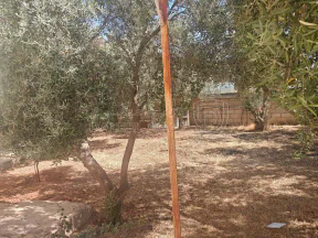 أرض في اربد الحي الشرقي على الشارع الرئيسي - 420,000 دأ - صورة NaN