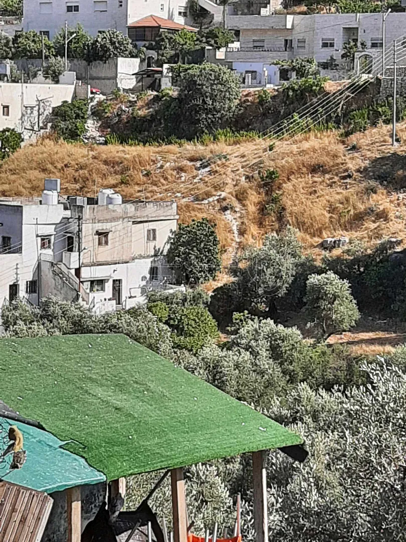 أرض في السلط البقيع السفلي - 27,000 دأ - صورة 1