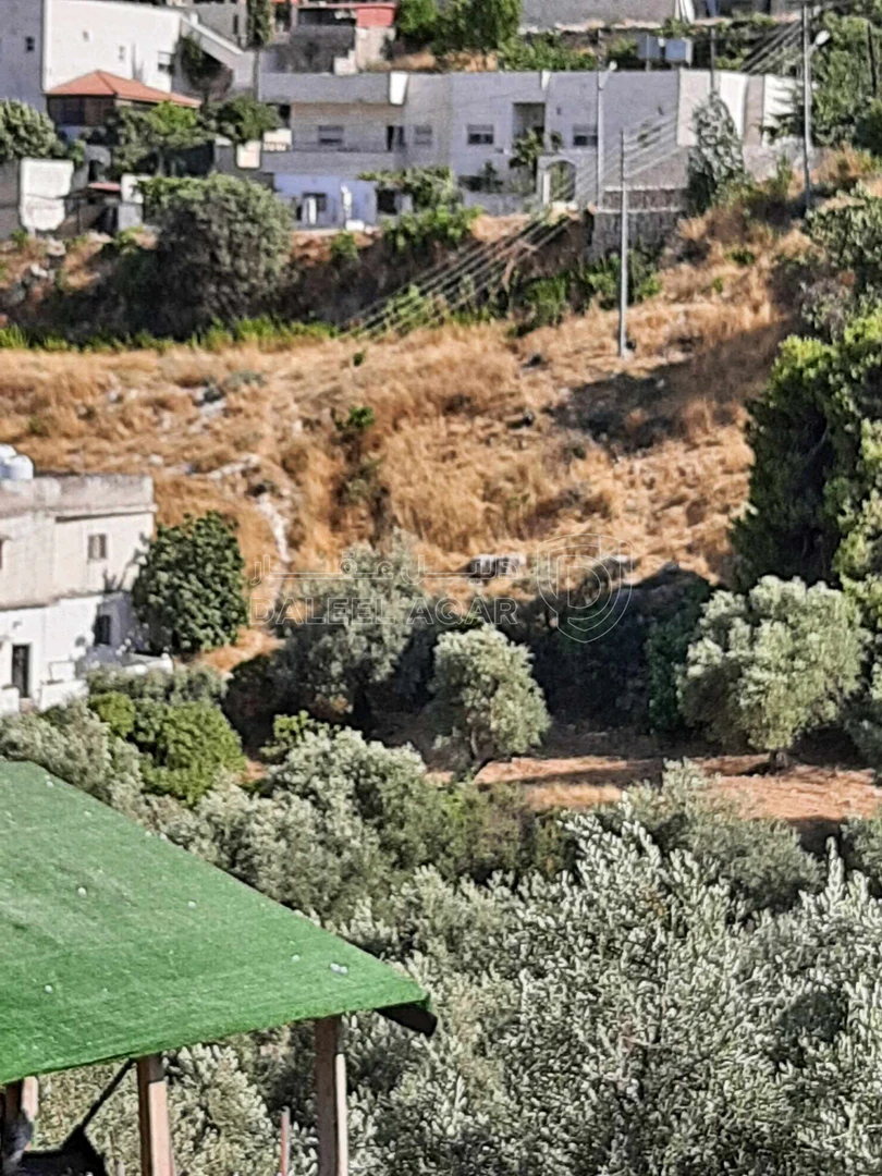 أرض في السلط البقيع السفلي - 27,000 دأ - صورة 1