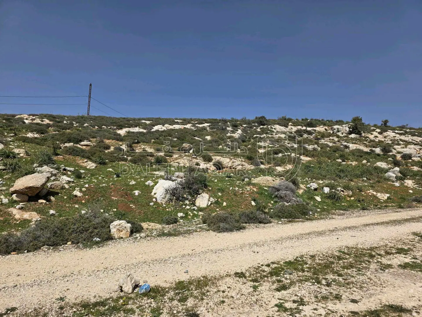 أرض في قطعة مميزة في ابو ركبة بموقعها واطلالتها وسعرها  - 600,000 دأ - صورة 1
