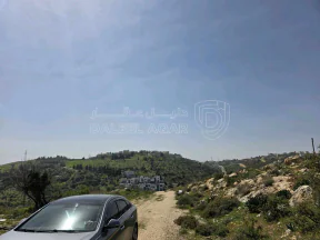 أرض في قطعة مميزة في ابو ركبة بموقعها واطلالتها وسعرها  - 600,000 دأ - صورة NaN