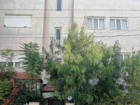 مبنى في تلاع العلي دخلة مطعم السروات  - 600,000 دأ - صورة NaN