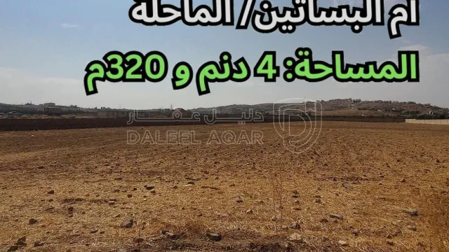أرض - ناعور - قرية أم البساتين  - 216000 دأ