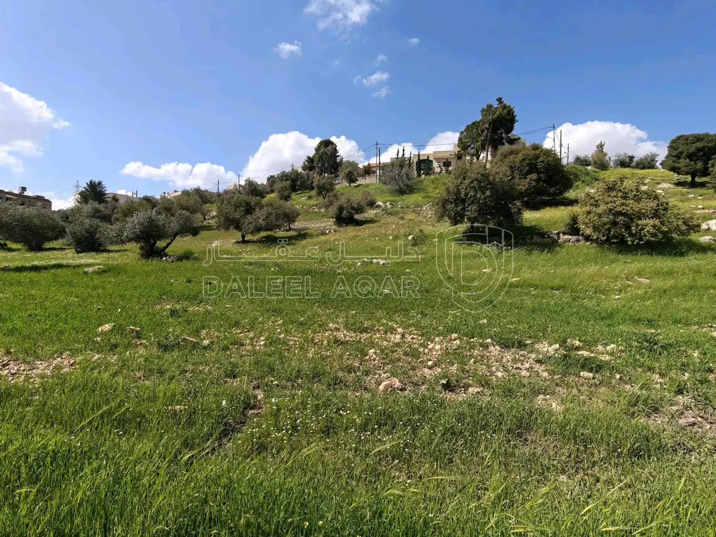 أرض في بدر الجديده، الغروس الغربي - 220,000 دأ - صورة 1