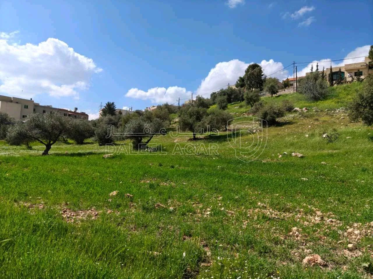أرض في بدر الجديده، الغروس الغربي - 220,000 دأ - صورة 1