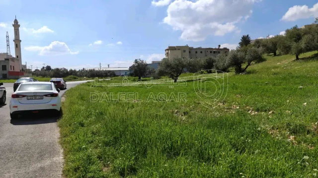 أرض - بدر الجديده، الغروس الغربي - 220000 دأ