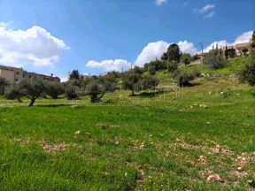 أرض في بدر الجديده، الغروس الغربي - 220,000 دأ - صورة NaN