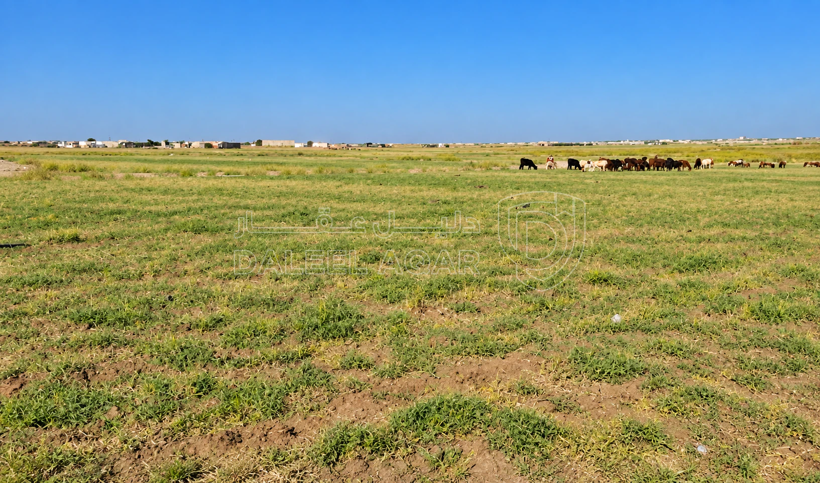 أرض في الطنيب حوض السكة الشرقي - 37,400 دأ - صورة 1