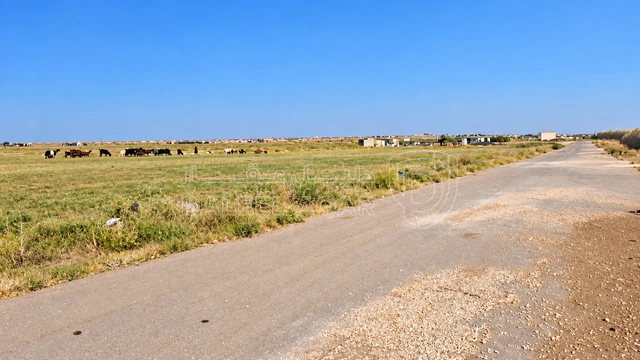 أرض في الطنيب حوض السكة الشرقي - 37,400 دأ - صورة NaN