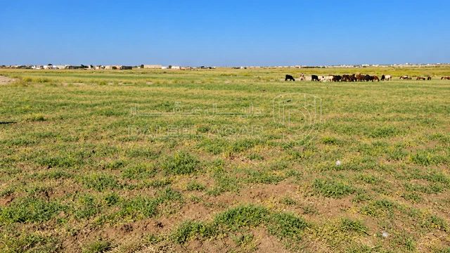 أرض في الطنيب حوض السكة الشرقي - 37,400 دأ - صورة NaN