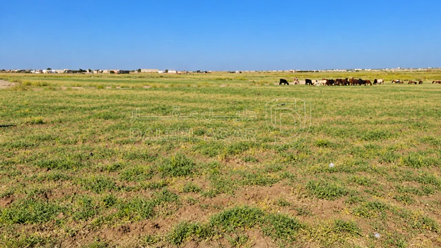 أرض - الطنيب حوض السكة الشرقي - 37400 دأ