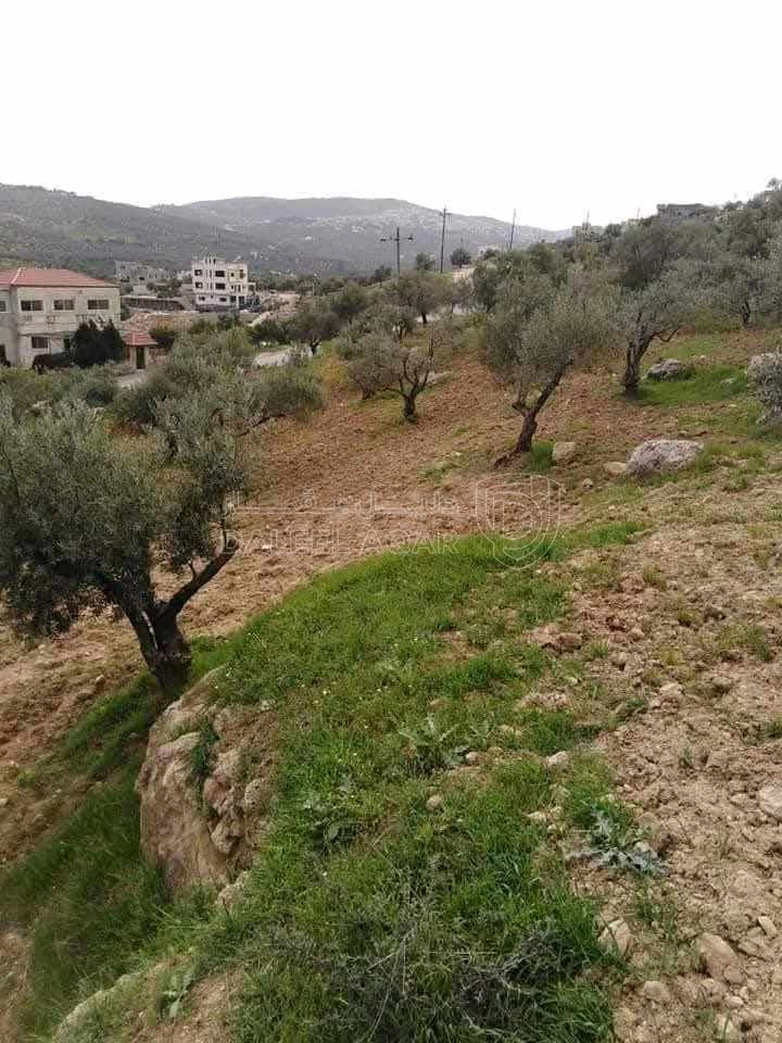 أرض في جرش  قريه مقبله - 65,000 دأ - صورة 1