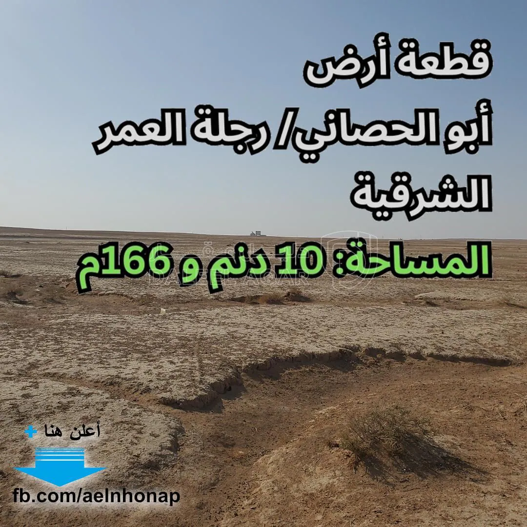 أرض في أبو الحصاني - رجلة العمر الشرقية - 13,215 دأ - صورة 1