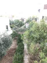 أرض في الجاردنز، شارع خالد الزريقات، فيلا رقم٢٢ - 450,000 دأ - صورة NaN