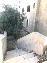 أرض في الجاردنز، شارع خالد الزريقات، فيلا رقم٢٢ - 450,000 دأ - صورة NaN
