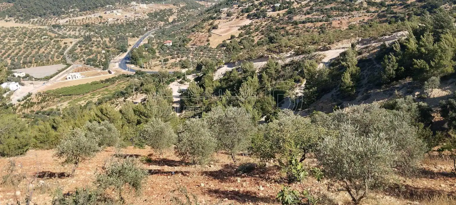 أرض في ارض زراعيه مخدومه تصلح لعمل شاليهات - 80,000 دأ - صورة 1